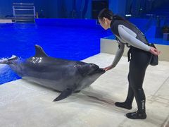 -石家庄极地海洋世界