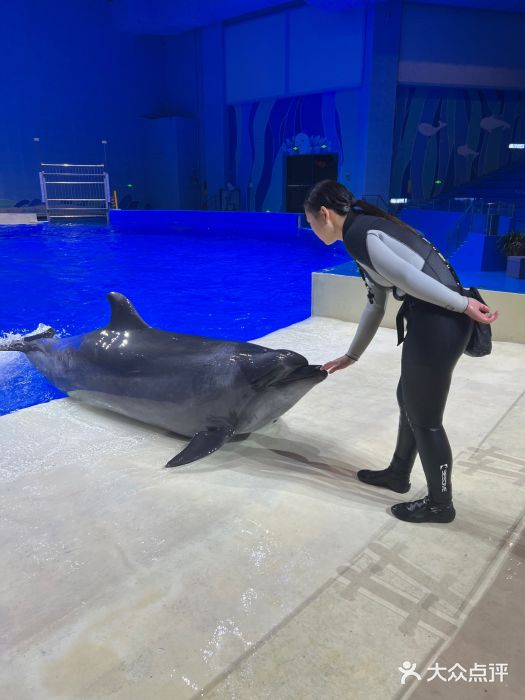 石家庄极地海洋世界图片