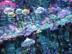 -天津梵高星空艺术馆(天河城旗舰店)