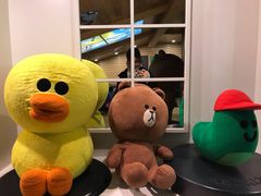 -line friends(明洞旗舰店)