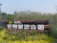 -芒洲湿地公园