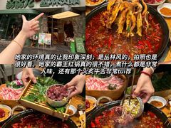 -成都大熊猫繁育研究基地