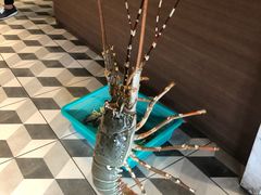 -泰华海鲜中餐厅(普吉镇店)