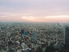 -东京都厅舍