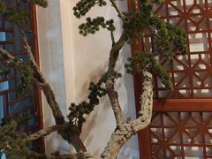 -柴米油盐(土菜院子店)