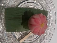 -觀芷隐轩