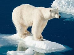 -海天之恋KTV(南湖店)