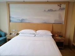 -维也纳酒店(重庆西站巴国城店)