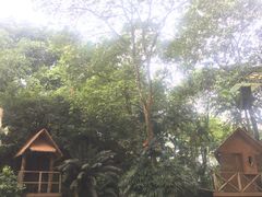 -新加坡飞禽公园