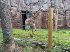 -武汉动物园