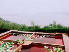 -天目湖涵田半山温泉