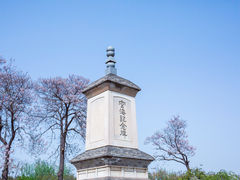-西安青龙寺遗址景区