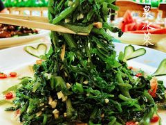 -途肴·老农饭庄(百里峡店)