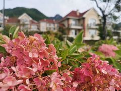 -丹东天桥沟景区