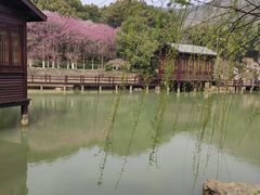 -宝岩生态观光园