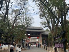 -洪崖丹井