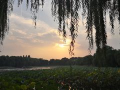 -香妃烤鸡(新奥店)