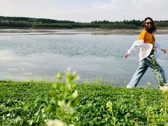 -丁香湖公园