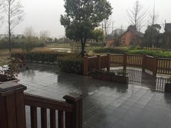 -上海多利农业发展有限公司