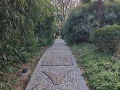 -菊花台公园