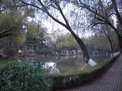 -瀛洲公园