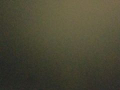 -广西壮族自治区药用植物园
