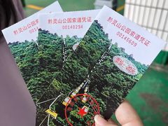 -黔灵山公园