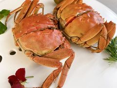陈年花雕秘制蟹-食神鱼头佛跳墙(百子湾旗舰店)