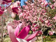 -大兴滨河森林公园