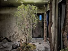 -森SPA·泰式按摩·精油Massage(宝安中心店)