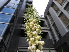 -中国药科大学（江宁校区）综合门诊部