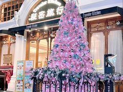 -秘密旅行Bonjour(黑金冠 江南西店)