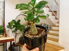 -森野花艺培训·企业团建活动沙龙