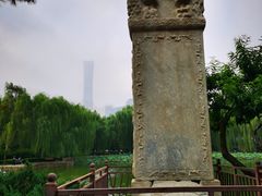 -团结湖公园