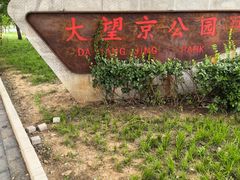 -大望京公园