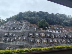 -香港大学