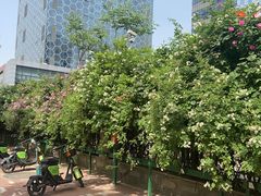 -穆彦华逍遥镇胡辣汤(岗坡路店)