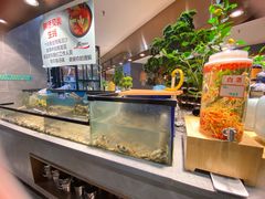 -遇上西雅图多融合海鲜自助餐厅(中房金谊广场店)