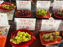 -马陆小张葡萄园农家乐