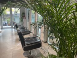 -Will+ Hair Studio