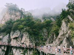 -老君山风景名胜区