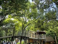 -宁波儿童公园(鄞州区)