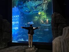 -成都浩海立方海洋公园