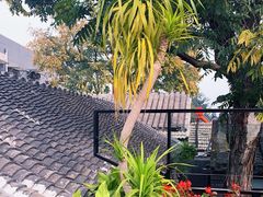 -SUSU·苏苏(四合院创始店)