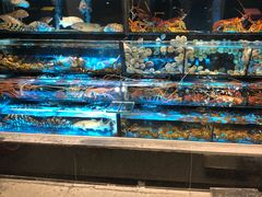 -彩福皇宴(皇室堡店)