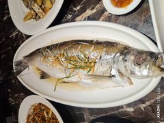 鸡汁大白鱼-翠香阁潮州菜馆·始于1994(珠江路店)