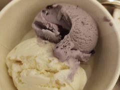 蓝莓-芭菲盛宴·环球美食(北城国际店)