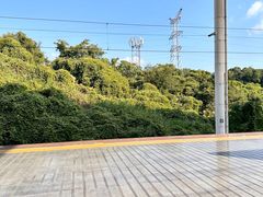 -岳阳东站