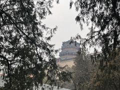 -颐和园