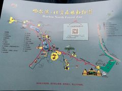 -哈尔滨北方森林动物园